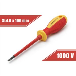 Skrutkovač plochý 4x100mm (Globiz)
