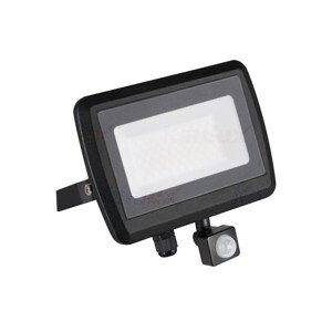 ANTEM LED 50W-NW-SE B Reflektor LED s čidlom