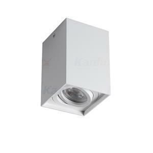 GORD XS DLP-50-W Prisadené svietidlo