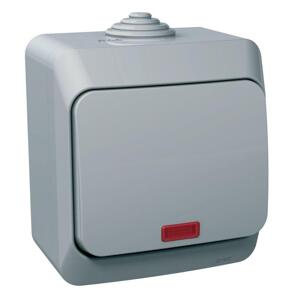 Spínac 1-pólový (1So) 16AX/250V (SS) IP44 sivá Cedar Plus (Schneider)