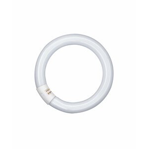 Žiarivka LED kruhová 18,3W, G10q, 4000K, LEDVANCE (náhrada za L32W)