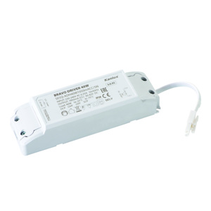 Zdroj LED pre panely 40W IP20 BRAVO DRIVER 40W (Kanlux)